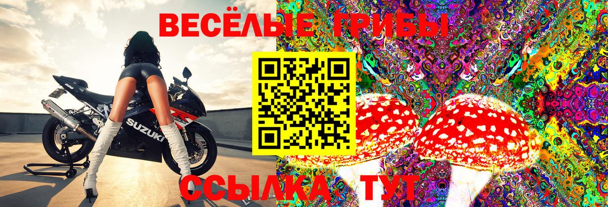Когалым  Псилоцибиновые грибы Magic Shrooms  Вход с VPN 